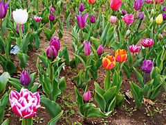 -长春公园(普阳街道)