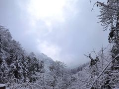 -九峰山