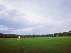 -上海海湾国家森林公园