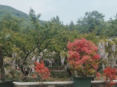 -红螺寺
