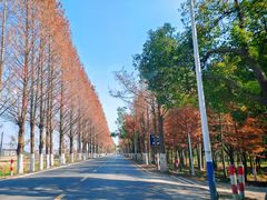 -金山北站