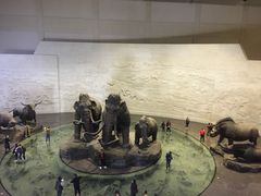 -大庆市博物馆