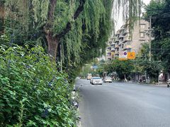 -成都市活水公园
