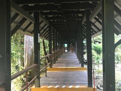 景点-乌鲁淡布隆国家公园