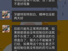 -久久宠物(河东万达店)