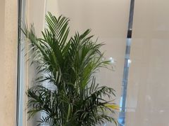 -庖丁家水煮牛排火锅(巴国城店)