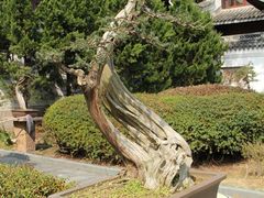 -溪口-滕头旅游景区