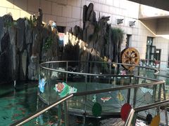 -陕西自然博物馆