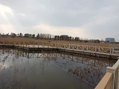 -鹦鹉洲湿地公园