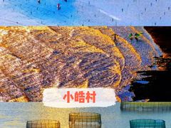 -北岐滩涂