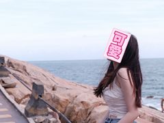 -广东惠东海龟国家级自然保护区