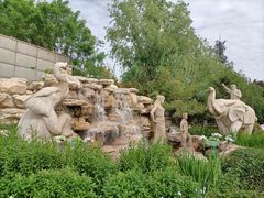 -南宫五洲植物乐园