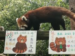 -无锡动物园·太湖欢乐园