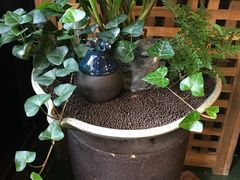 -花到家(富贵鸟花艺行)