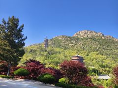 -石岛赤山风景区