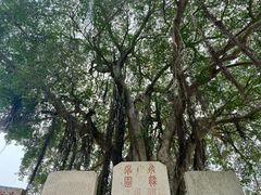 -洛阳桥