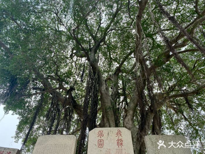 洛阳桥图片