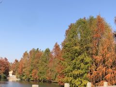 -上海海湾国家森林公园