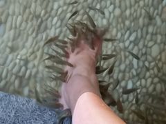 -明谷行馆·温泉