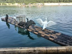 景点-楠溪江风景名胜区