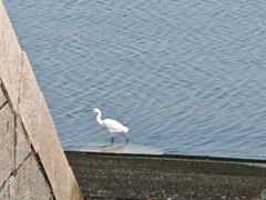 -日照世帆赛基地