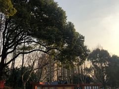 -星巴克(3号湾店)