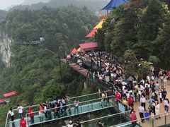 -梦幻奥陶纪景区