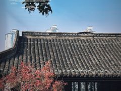 -梅园