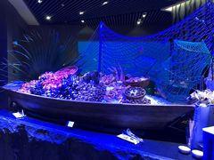 -海棠湾洲际-涛·海底餐厅·美人鱼·自助餐·海底隧道