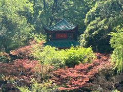 -岳麓山风景名胜区