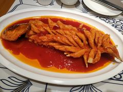 松鼠皖鱼-美庐时尚餐厅(菱角湖店)