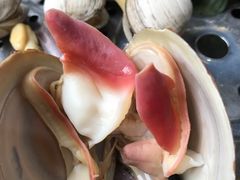-海大大蒸汽海鲜餐厅·粤菜·特色小炒(欢乐颂店)