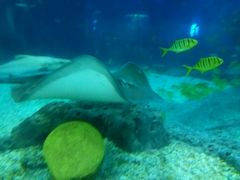 -福州罗源湾海洋世界旅游区