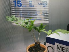 -CUBIC3三立方咖啡(西岸凤巢店)