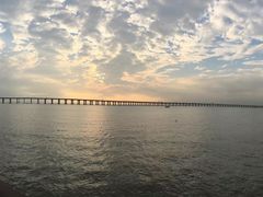 -宝安西湾红树林湿地公园