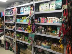 -中农大我爱我爱24h动物医院·中医针灸·猫专科·骨科医疗中心(双井店)