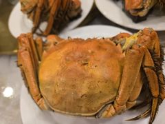 -新光酒家方亮蟹宴(黄浦店)