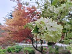 -江南大学(蠡湖校区)