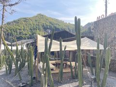 -MOJ coffee(瓯海泽雅水碓坑店)