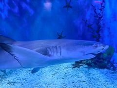 -太平洋海底世界