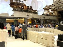 -冰纷万象滑冰场(沈阳万象城店)