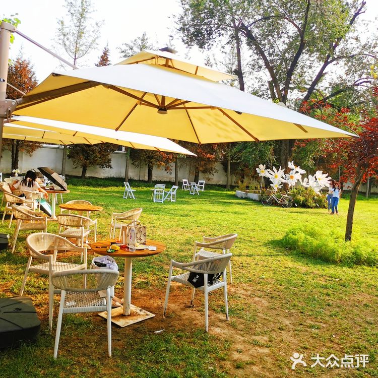 发呆一下午，出片300张