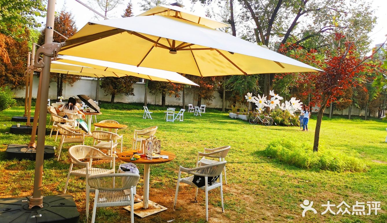 发呆一下午，出片300张