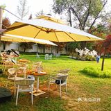 发呆一下午，出片300张