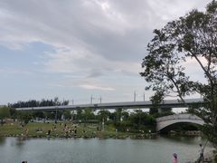 -宝安西湾红树林湿地公园