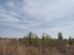 -亿利库布其七星湖沙漠生态旅游区