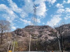 -大岭沟猕猴桃谷风景区