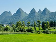 -万峰林风景区