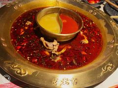 -哥老官重庆美蛙鱼头(龙湖杭州金沙天街店)