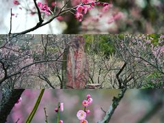 -无锡梅园公园